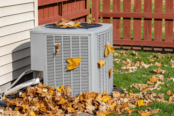 Best HVAC installation services  in Rineyville, KY